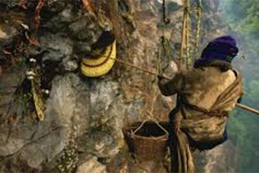 Kathmandu site seeing, Nepal